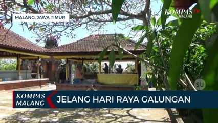 Télécharger la video: Jelang Hari Raya Galungan, Begini Persiapan Pura di Malang