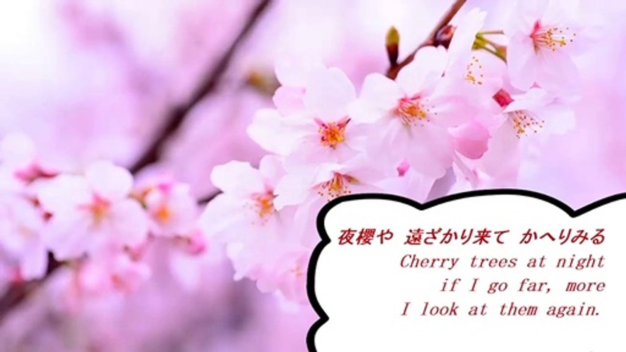 HAIKUS