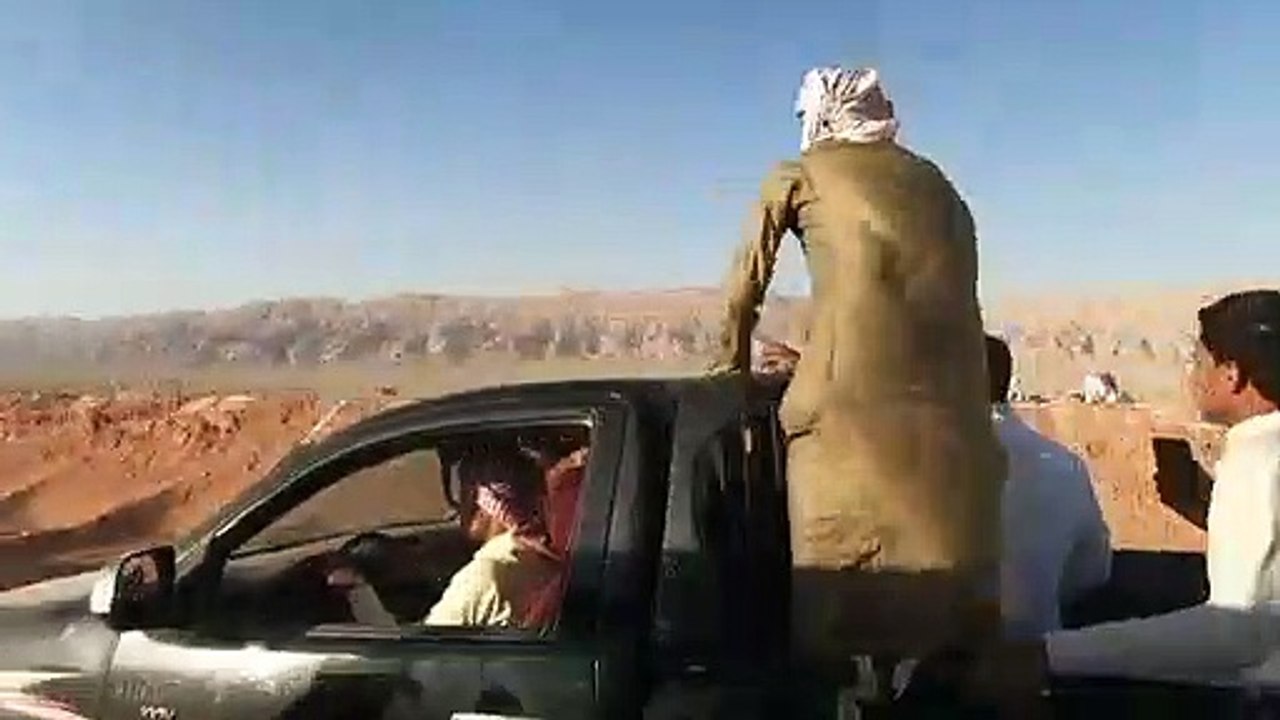 سباقات الهجن تعود إلى سيناء بعد توقف أشهر بسبب كوفيد-19