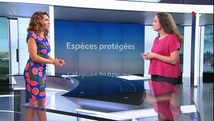 Espèces protégées : quels sont les bénéfices des réserves naturelles ?