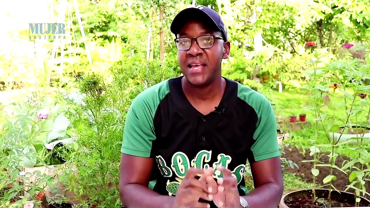 Huertos | ¿Cuáles son los tipos de semillas que existen en el mercado?  - Nex Panamá