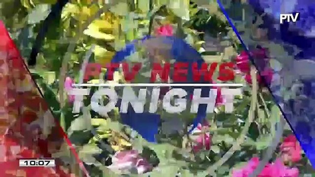 Benguet cut flower farmers produce potted plants