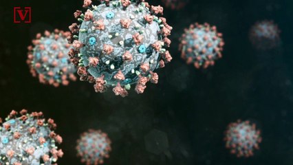 This is What We Tweeted About During Quarantine