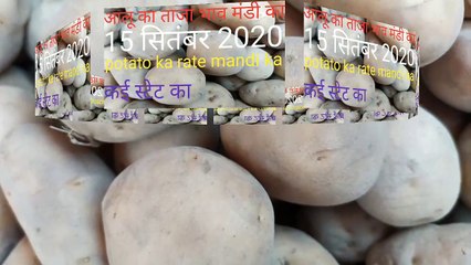 15 सितंबर 2020 आलू के भाव