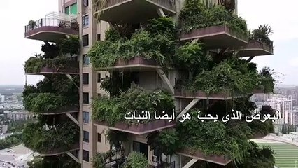 النبات يجتاح مجمعا سكنيا في الصين