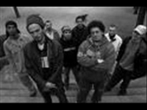 Survie dub incorporation