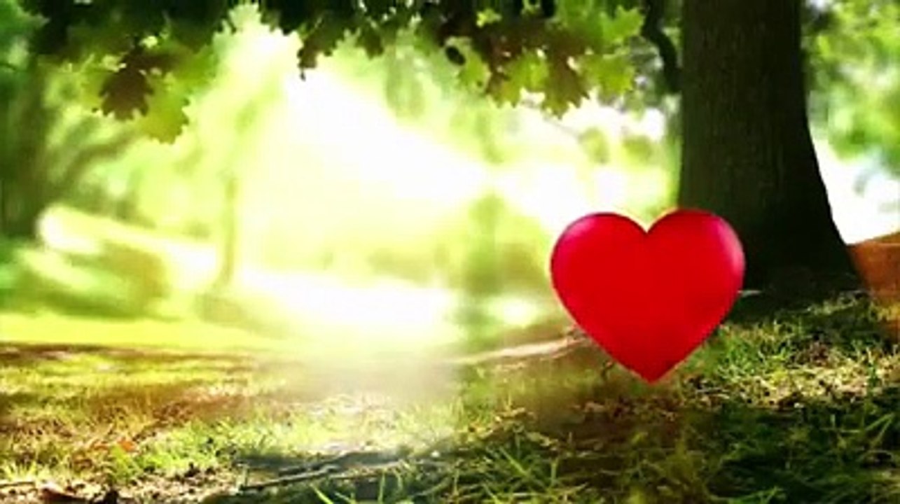 UN CORAZON SOLIDARIO