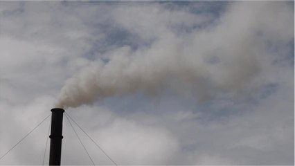 Study: Air pollution increases stroke risk in people with AFib