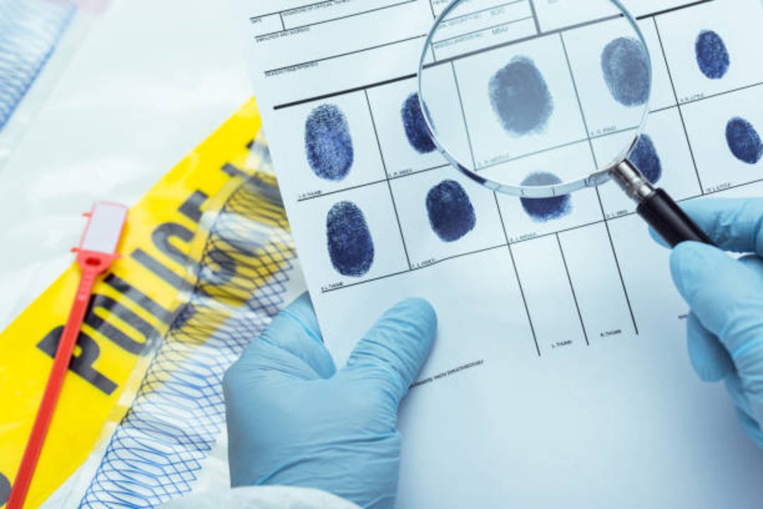 Yes, People Planted (and Ate!) Those Mystery Seeds