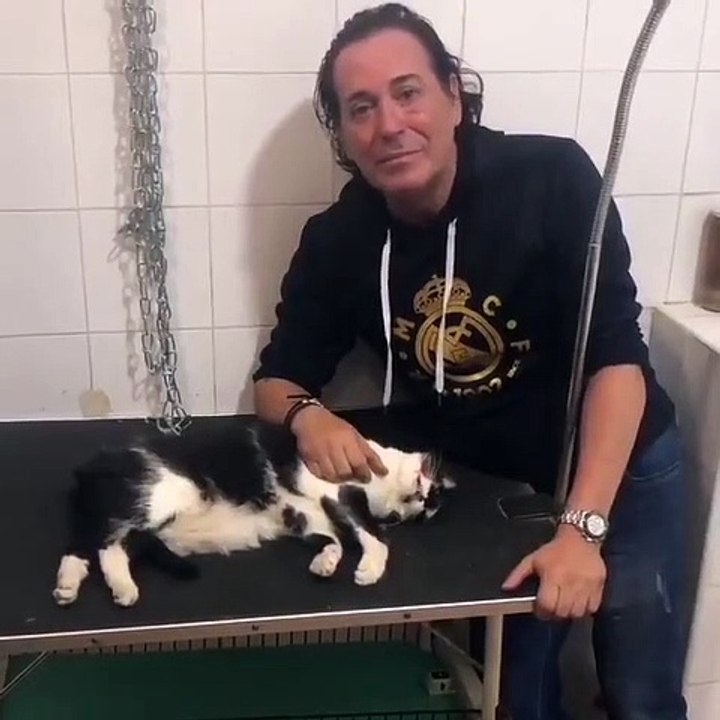 Pipi Estrada llora por la muerte de su gato