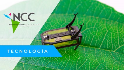 Ro­Beetle, un ro­bot de 15 mi­lí­me­tros e im­pul­sa­do por reac­cio­nes quí­mi­cas