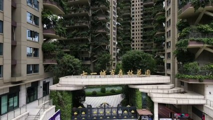 Los mosquitos se adueñan de un proyecto de selva vertical en China