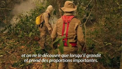 Brésil: la pluie, seul espoir des pompiers contre le feu au Pantanal