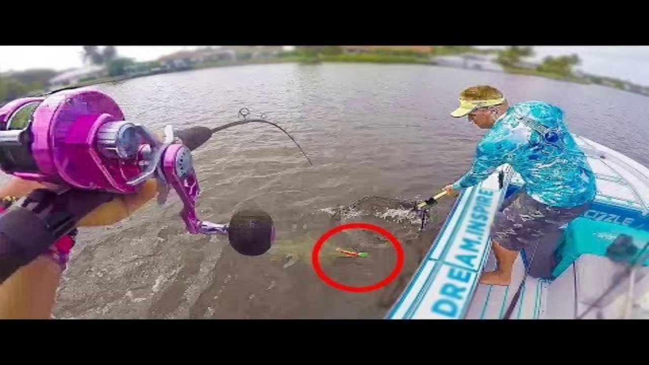Florida Inshore Fishing for GIANT Snook caught on Big NEON Lure