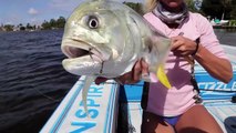 Using LIVE Mullet as Bait to Catch GIANT Fish