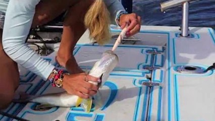 The SECRET Other Youtubers Are Not Sharing with You