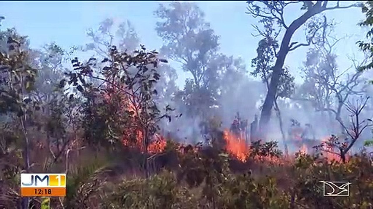 Tempo seco faz aumentar focos de incêndio no Sul do Maranhão.