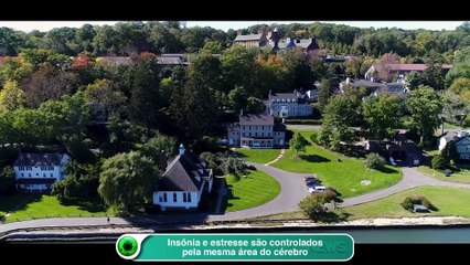 Insônia e estresse são controlados pela mesma área do cérebro