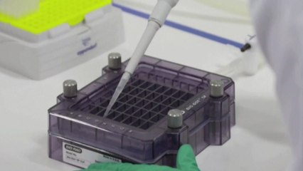 화이자 백신, 3상시험서 부작용 보고...이탈리아, '청정 항공편' 도입 / YTN