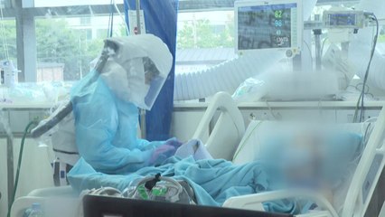 [뉴스라이브] 2주째 신규확진 100명대..."경각심 늦춰선 안 돼" / YTN