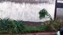 Lluvia provoca daños menores por fuertes vientos en Culiacán