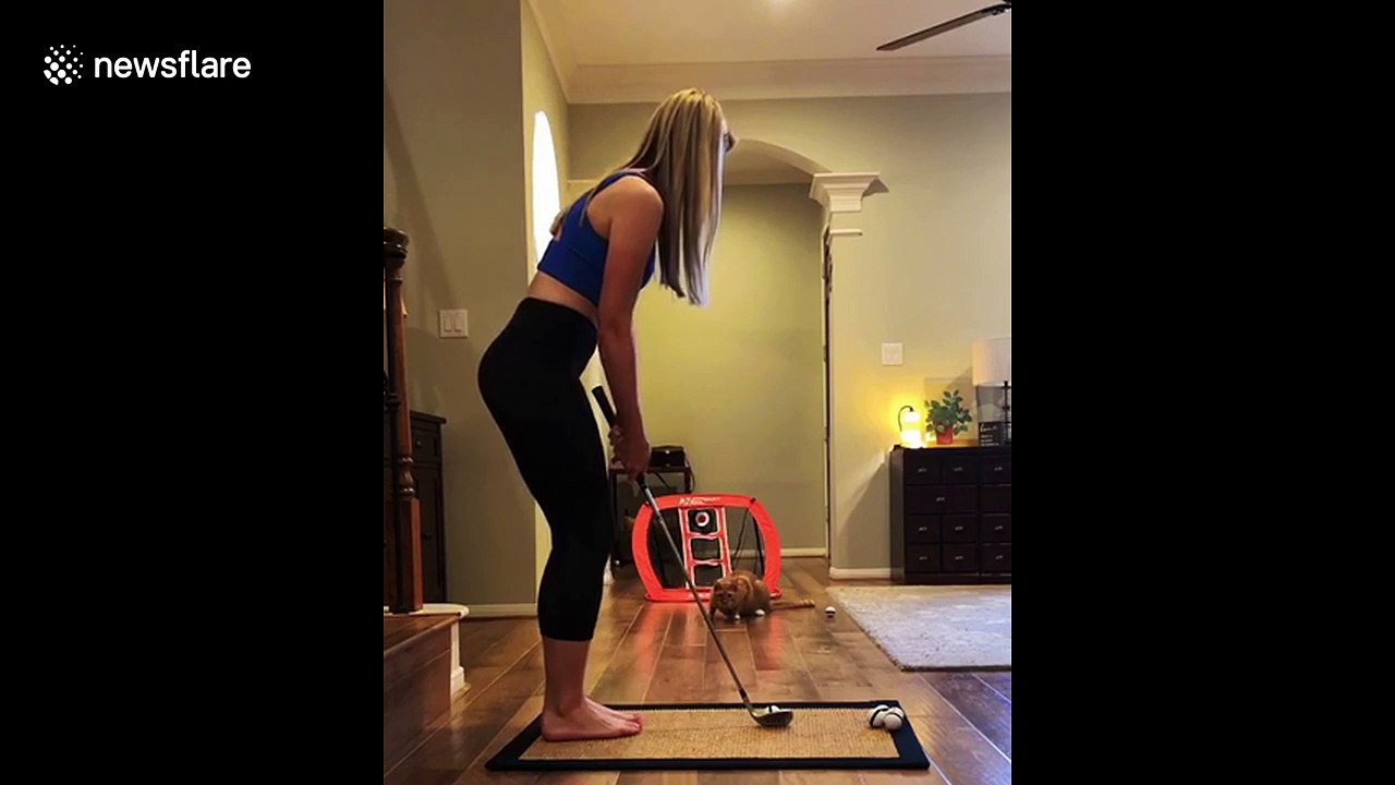 Cat plays wide receiver during golf and makes miraculous catches