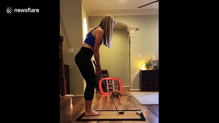 Cat plays wide receiver during golf and makes miraculous catches