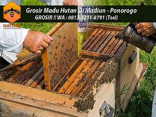 PROMO !! WA : 0813-3211-8791 (Tsel)	Produsen Madu Kelengkeng Di Madiun Ponorogo By MALISSA,