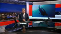 French diver breaks free-diving world record