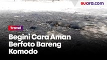 Begini Cara Aman Berfoto Bareng Komodo