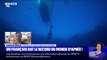 Le Français Arnaud Jérald bat un record du monde d'apnée à 112 mètres de profondeur