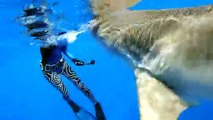 Ocean Ramsey's Guide to Sharks and Safety