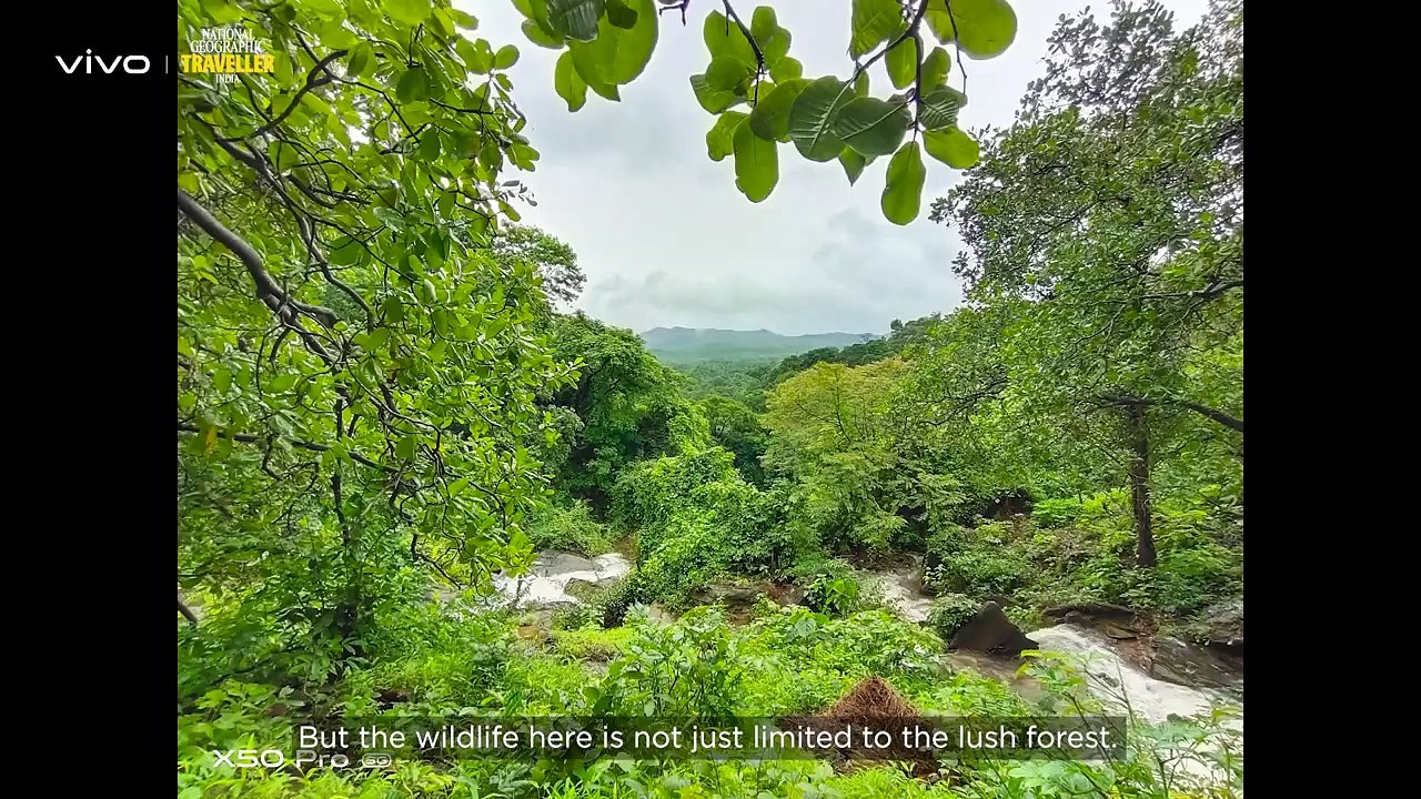 vivo x Nat Geo Traveller India | #TheUneXplored Goa | Vivo India