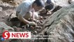 16,000-year-old human skull found in South China