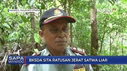 BKSDA Sita Ratusan Jerat Satwa Liar