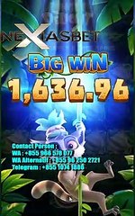 Big Win Jungle Delight DI SLOT SBO | NexiasBet88 | Agen SLOT SBOBET