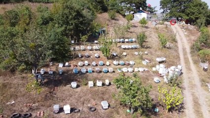 Bakanlıktan, Mustafakemalpaşa bal ormanına onay