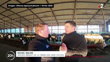 La ferme des 1000 vaches est-elle au dessus des lois ?