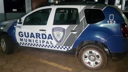 Pampa é recuperada pela Guarda Municipal durante patrulhamento no Interlagos