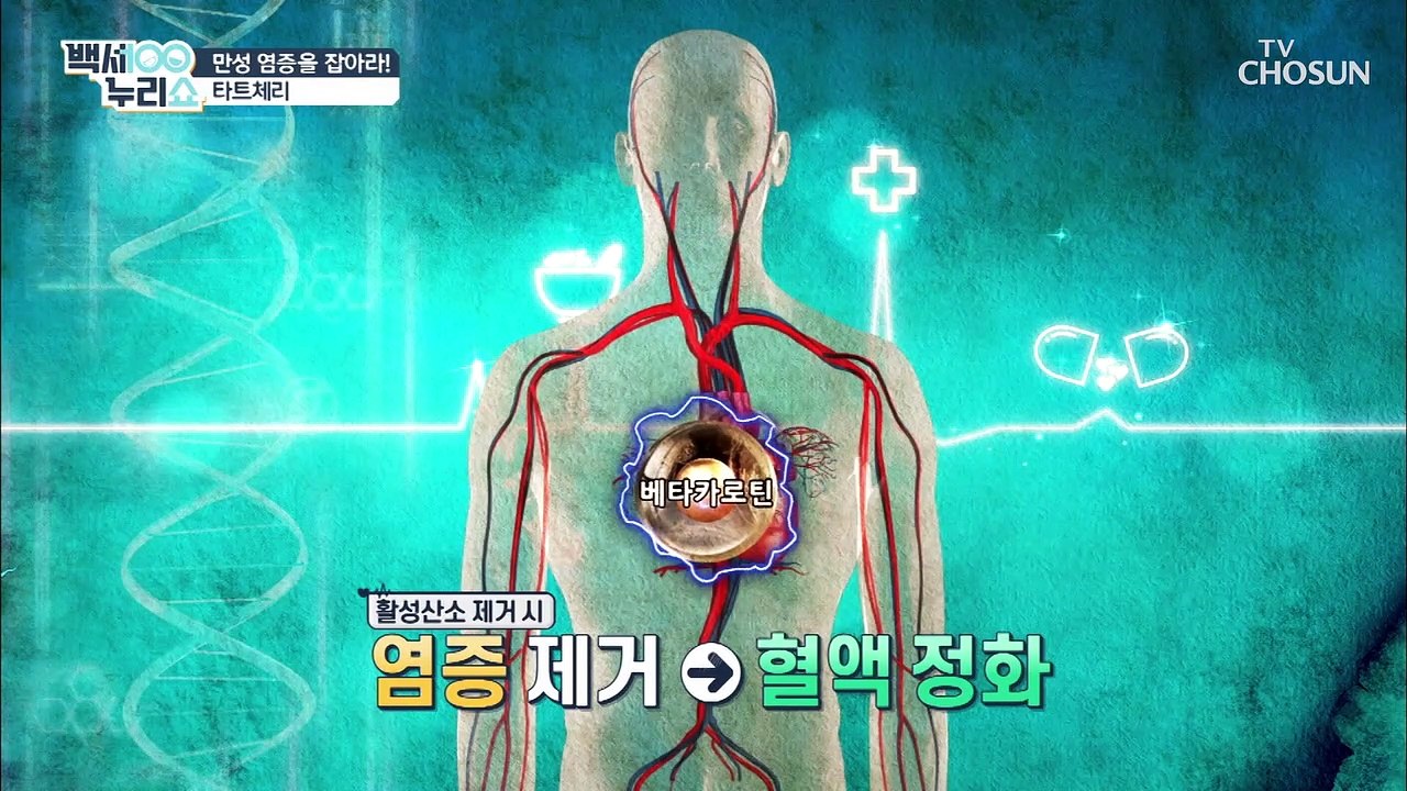 소리 없는 살인자 만성염증에 좋은 ★타트체리★