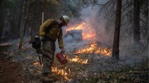 Wildfires push Oregon 'to its limits' as Trump declares disaster