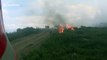 Firefighters battle series of wildfires across northwest Spain