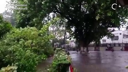 बिजली गिरने से यूपी, बिहार और मध्यप्रदेश में हुई 35 लोगों की मौत।