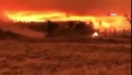 - Brezilya'da yangınlar dünyanın en büyük sulak alanını tehdit ediyor