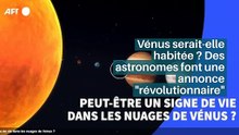 Vénus serait-elle habitée ? Des astronomes font une annonce "révolutionnaire"_IN