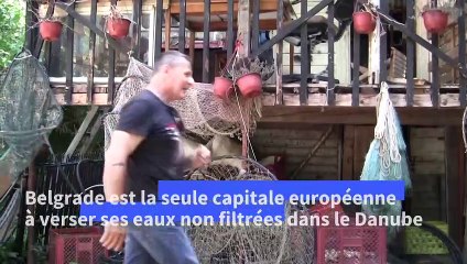 Pollué à Belgrade par des eaux usées, le Danube n'est plus vraiment bleu...