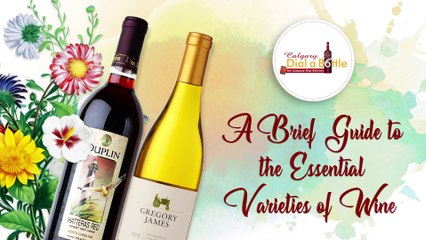 A-Brief-Guide-to-the-Essential-Varieties-of-Wine