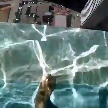 Cette piscine avec un fond transparent, installée sur le toit d’un appartement donne une vue sur la rue et la circulation qui se trouvent en dessous