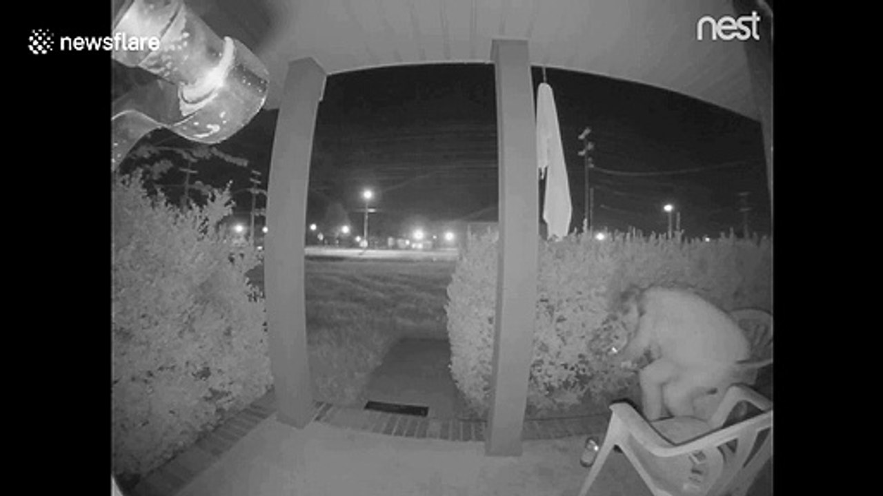 Doorbell camera catches the moment woman takes a tumble off her chair