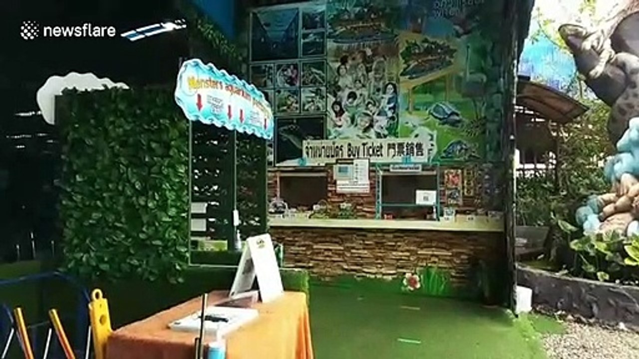 Thai zoo closed down after operating illegally without a permit